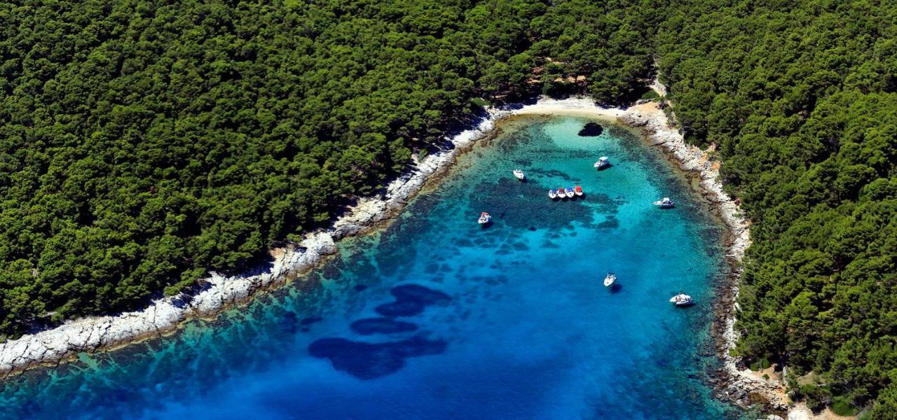 Bungalow Vice With Pool Pakoštane Εξωτερικό φωτογραφία